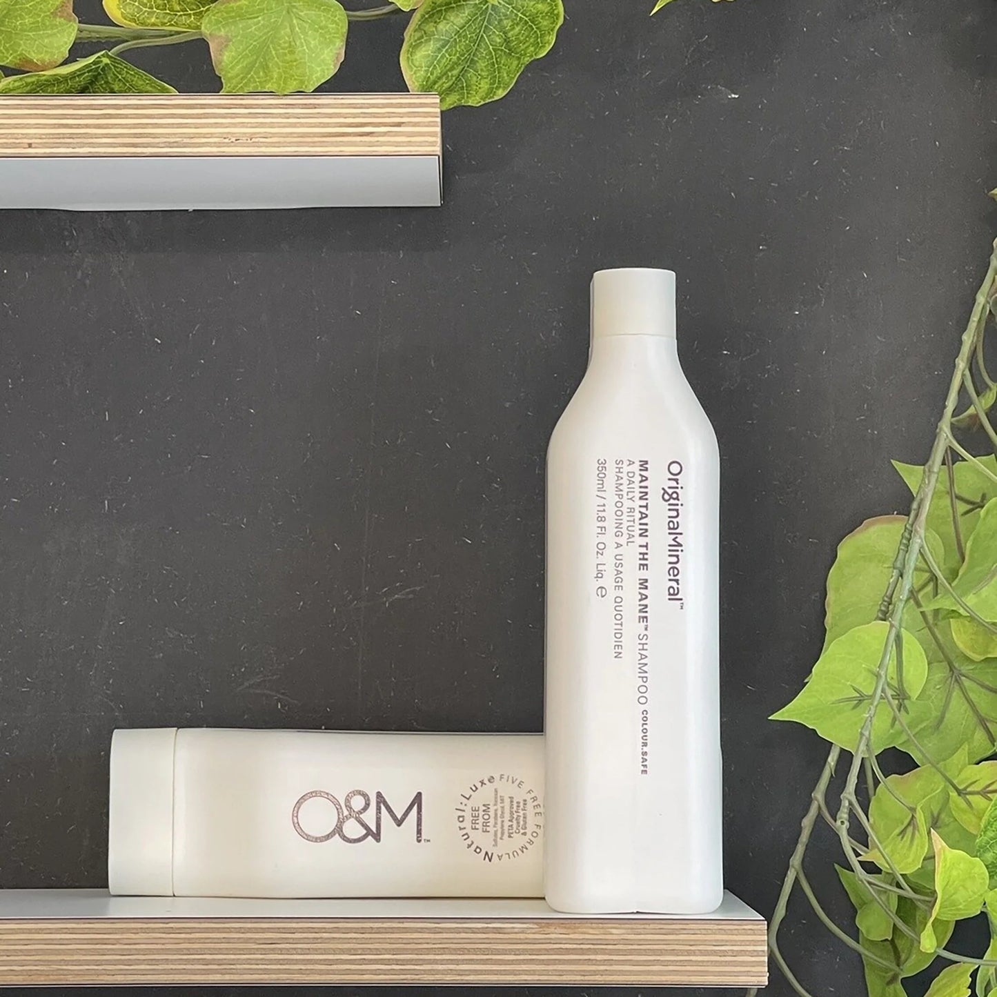 O&M Maintain the Mane shampoo